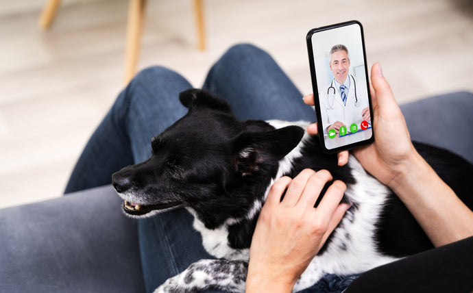Lancement du programme Csanté.