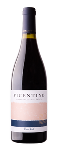 Vicentino - Colheita Costa Atlântica - Rouge - 6 bouteilles