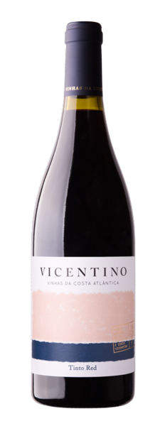 Vicentino - Colheita Costa Atlântica - Rouge - 6 bouteilles