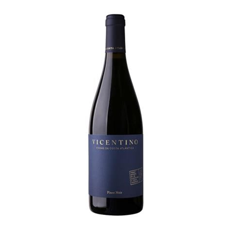 Vicentino - Pinot Noir Costa Atlântica - Rouge - 6 bouteilles